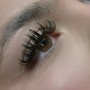 Hybrid Eyelash Fill