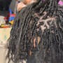 Starter Locs