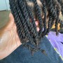 Retwist Palm Roll Method