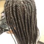 Poetic Justice Braids