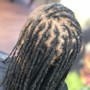 Root Touch Up