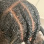 Kid two strand twist