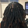 Micro Locs (Starter)