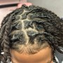 Loc Retwist