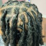 Loc Detox w/ Retwist and Two-Strand Twists