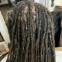 Locs styled