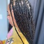 20” Box Braids (not knottless)