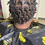 Starter comb twist Dreadlocks