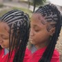 Two Strand Twists