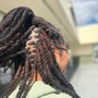 Starter locs ( 2strand/ finger coil)