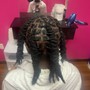 Loc Retwist