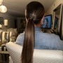 Sleek Ponytail