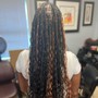 Large  Knotless Box Braids