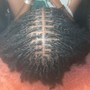 Starter locs (instant loc method)