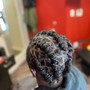 2 strand twist style