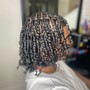 Starter Locs