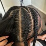 Braid Take-Down