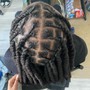 Half 1/2 Starter Locs