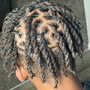 Island Twist