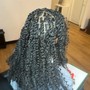 extensions for twist