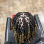 Comb Twist/Starter Locs