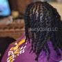 Juicy Locs Re-twist (Ear Length)