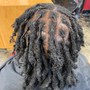 Initial/Starter Dreadlocks