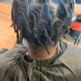 Starter locs