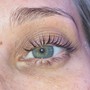 Individual Cluster Lash Installation