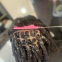 Loc Maintenance