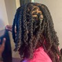 Starter Locs