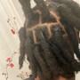 Starter Locs