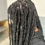 Loc Coils