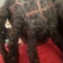 8 inch human hair loc extensions