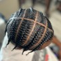 Starter Locs (2 Strand Twist)