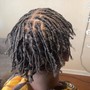 Starter Locs full head