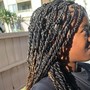 Braids French Curls