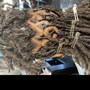 Root Touch Up