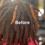 Root Touch Up