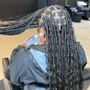 Starter Locs