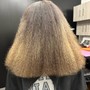 Root Touch Up