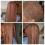 Braid Foundation for Adults- (6 to 8 Braids)