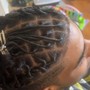 Starter Locs