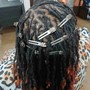 Shampoo, Condition, Deep Condition, Oil Treatment, Loc Retwist & Style