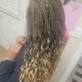 Micro Braids