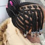 Individual Braids