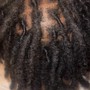 Medium Senegalese Twist (Mid Back)