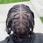 Two Strand Twist ( natural hair )