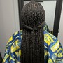 Havana Twists