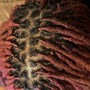 Partial Highlights - Locs